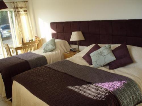 The Willows Guest House 泰克利 外观 照片